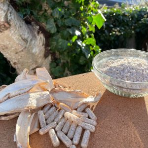 Birch Polypore Supplement Capsules