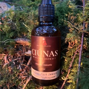 Ciúnas — Amanita Muscaria Tincture