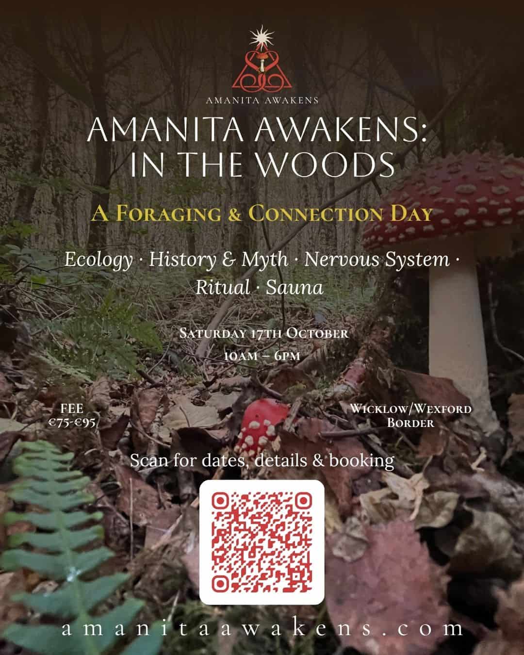 Amanita Awakens: In the Woods — a foraging and connection day on the Wicklow/Wexford border, Saturday 17th October, 10am–6pm, fee €75–€95