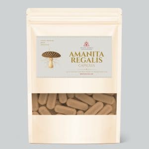 Amanita regalis capsules pouch by Amanita Awakens, 250mg per capsule