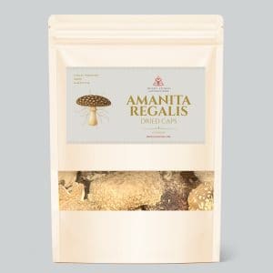 Amanita regalis dried caps pouch by Amanita Awakens, 15 grams